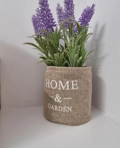 Apartman Beta Langa Iulius Mall Kolozsvár